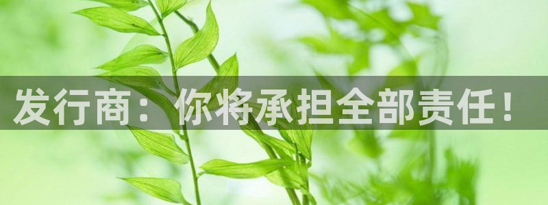 db电竞子文化创意有限公司：发行商：你将承担全部责任！