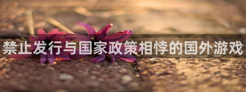 苏州db电竞网络科技有限公司：禁止发行与国家政策相悖的国外游戏