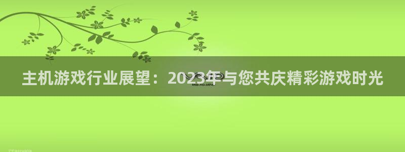 db电竞电子商务有限公司怎么样啊：主机游戏行业展望：2023年与您共庆精彩游戏时光