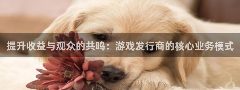 db电竞电子商务有限公司怎么样啊：提升收益与观众的共鸣：游戏发行商的核心业务模式