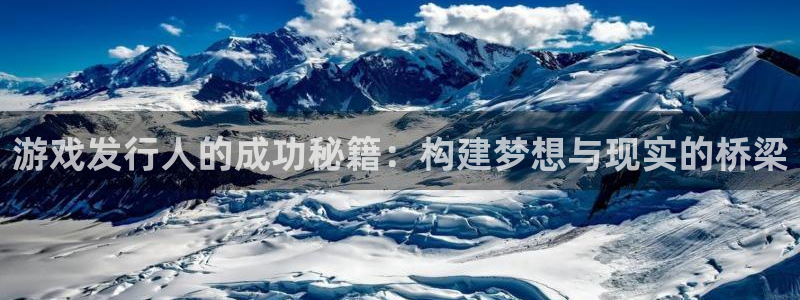 db电竞电商怎么样可靠吗：游戏发行人的成功秘籍：构建梦想与现实的桥梁