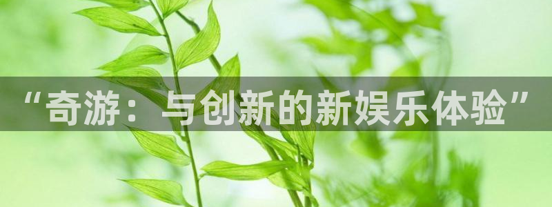 广州db电竞网络科技有限公司：“奇游：与创新的新娱乐体验”