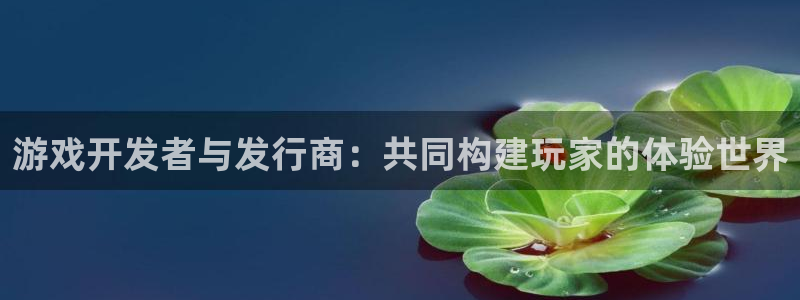 db电竞子 到底怎么样：游戏开发者与发行商：共同构建玩家的体验世界