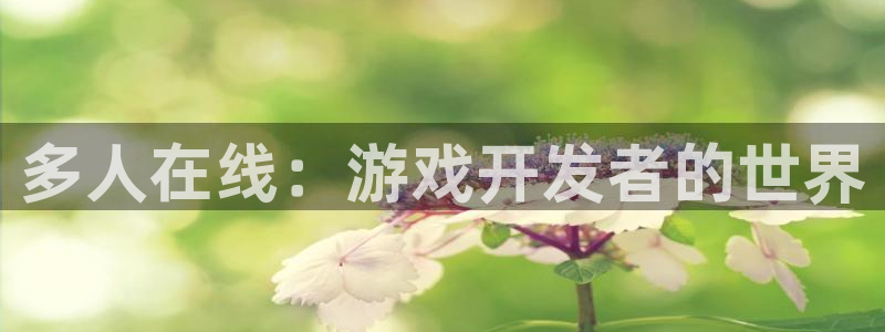 db电竞官网平台注册账号注意事项：多人在线：游戏开发者的世界