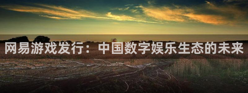 db电竞官网注册地址在哪里：网易游戏发行：中国数字娱乐生态的未来