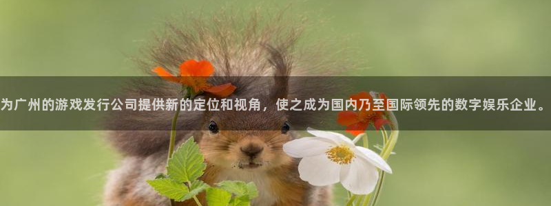 db电竞官网主管他494o3 主管：为广州的游戏发行公司提供新的定位和视角，使之成为国内乃至国际领先的数字娱乐企业。