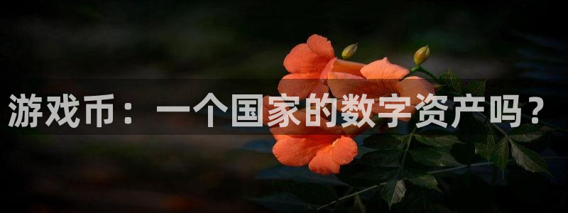 db电竞电子商务怎么样：游戏币：一个国家的数字资产吗？