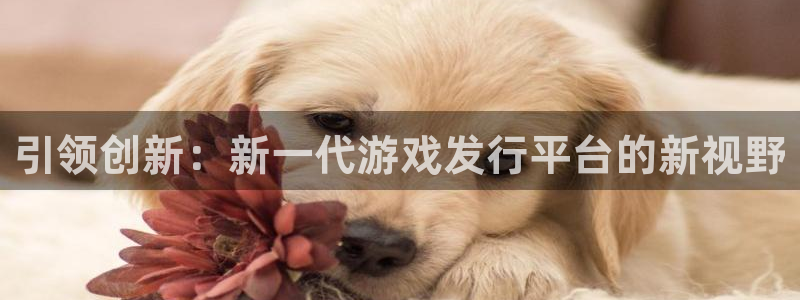 我要看db电竞：引领创新：新一代游戏发行平台的新视野