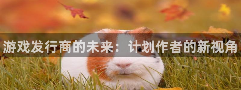 db电竞子文化是什么：游戏发行商的未来：计划作者的新视角
