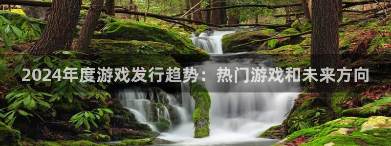 南京db电竞子电子商务有限公司：2024年度游戏发行趋势：热门游戏和未来方向