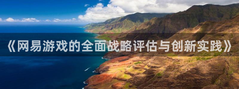 db电竞子书单：《网易游戏的全面战略评估与创新实践》