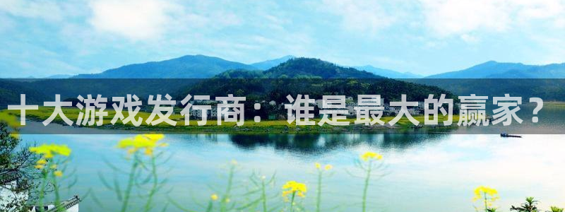 db电竞技术有限公司怎么样