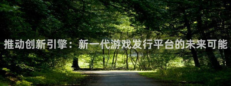 作者db电竞子小说：推动创新引擎：新一代游戏发行平台的未来可能