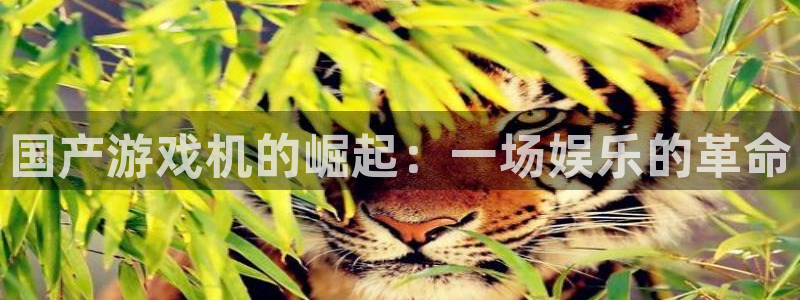db电竞官网登录注册账号安全吗可靠吗：国产游戏机的崛起：一场娱乐的革命