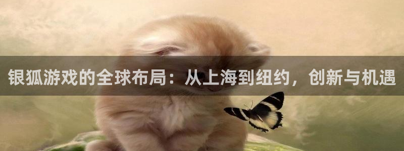 db电竞服装品牌怎么样：银狐游戏的全球布局：从上海到纽约，创新与机遇