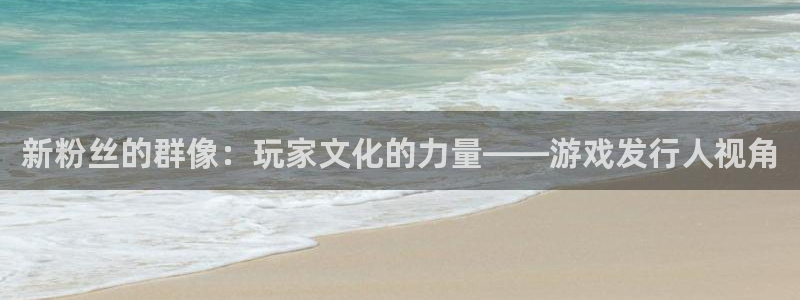 db电竞注册开户：新粉丝的群像：玩家文化的力量——游戏发行人视角