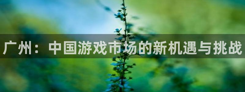法国db电竞官网：广州：中国游戏市场的新机遇与挑战